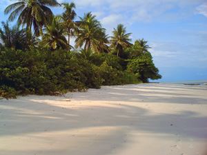 Beach on Sei Island